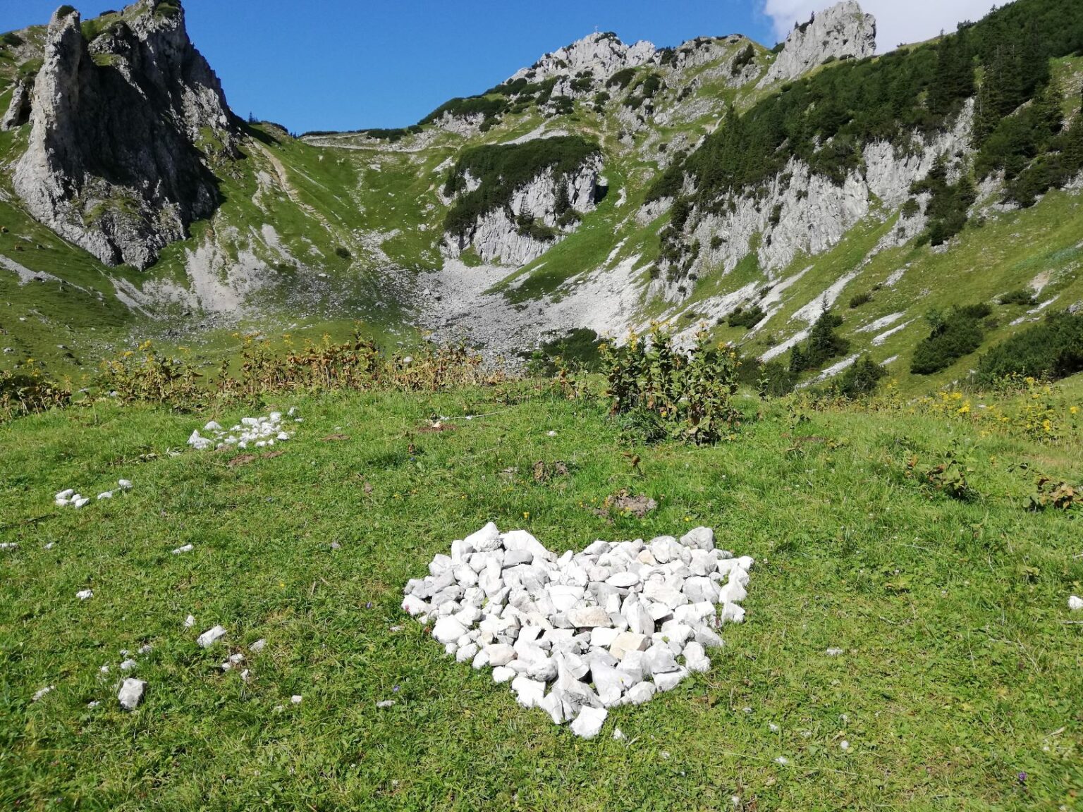 ALLGÄU [Region] Travel Guide – PREVIS OUT OF THE BOX